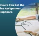 How to Ensure You Get the Best Online Assignment Help in Singapore