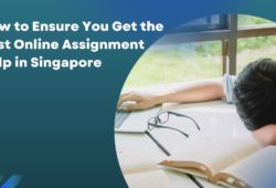 How to Ensure You Get the Best Online Assignment Help in Singapore