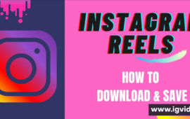 Instagram Download Video Free: Instantly Access Unlimited Video Content